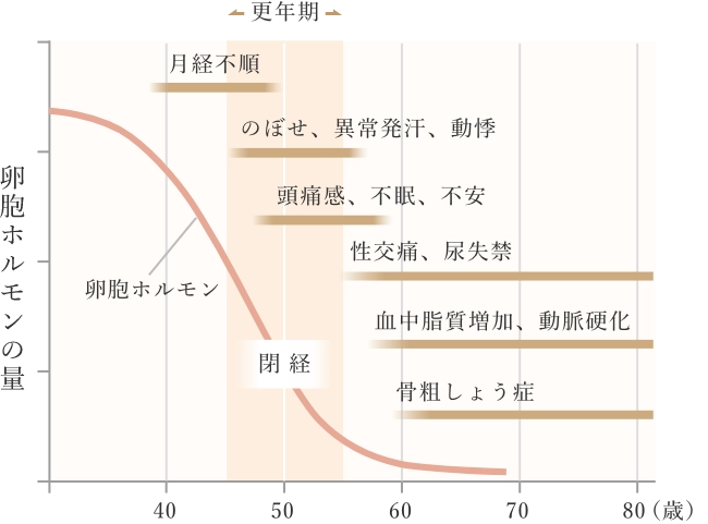更年期における卵胞ホルモン量の経年変化（40代で減少し50歳頃に急降下）と、症状の出現時期（40代前半：月経不順、40代後半～50代前半：のぼせ・不安、50代後半以降：動脈硬化・骨粗しょう症など）を示すグラフ。